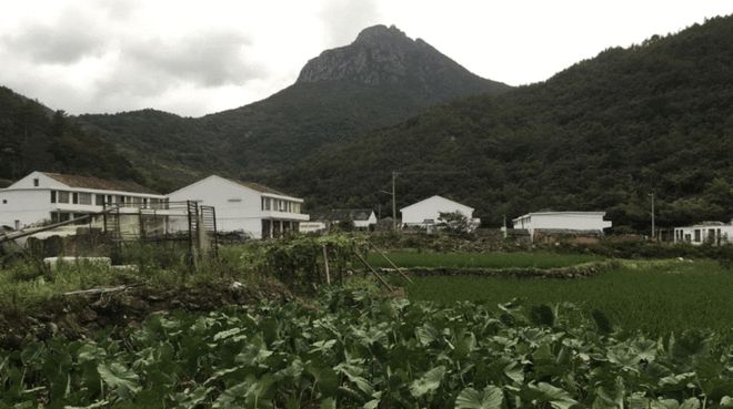 开云体育 开云官网网络信息技术对农业农村经济发展的影响(图1)