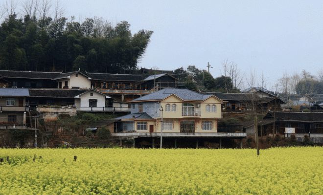 开云体育 开云官网网络信息技术对农业农村经济发展的影响(图8)