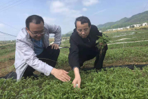 数字+文创良渚开云 开云体育正青春(解码·让优秀传统文化活起来)(图1)