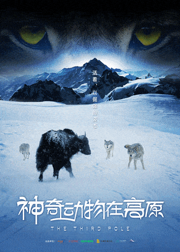 数字文化赋能 曲江新区产业加速蝶变开云体育 开云平台(图3)