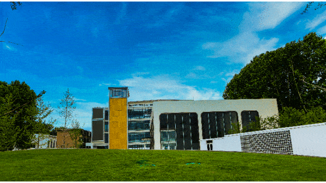 数字文化赋能 曲江新区产业加速蝶变开云体育 开云平台(图7)