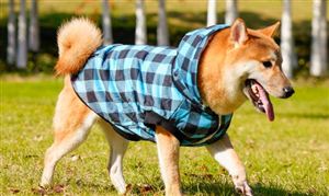 开云 开云体育官网2023数字文化行业报告 数字文化产业发展强劲 产业有望开启万亿级市场空间(图7)