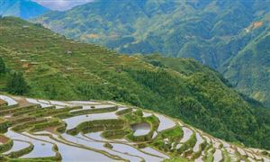 数字文化行业发展前景及市场中心分开云 开云体育析(图11)