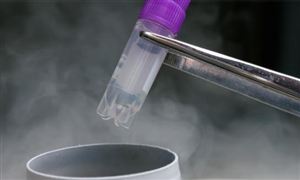 开云 开云体育数字文化发展分析 数字文化行业未来市场空间(图7)