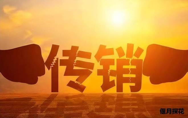 开云 开云体育官网被称为拥有最强洗脑模式的阳光工程究竟是怎样的一个传销组织(图2)