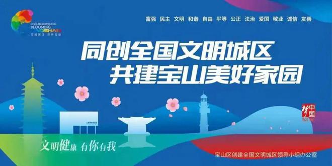 数字化赋能“北转型开云 开云体育平台”宝山区“双核五圈”建设再进一步(图9)