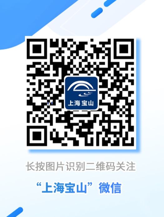 数字化赋能“北转型开云 开云体育平台”宝山区“双核五圈”建设再进一步(图8)