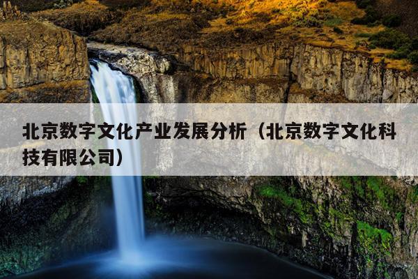 北京数字文化产业发展分析（北京数字文化科技有限公司）Kaiyun 开云(图1)