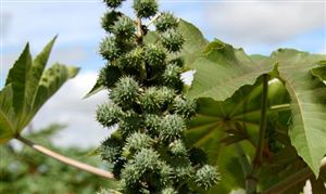 开云APP 开云官网入口数字文化创意产业规模 数字文化创意发展前景规划研究(图7)