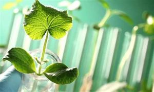 开云 开云体育平台中国数字文化产业市场现状 中国数字文化产业发展趋势预测(图2)
