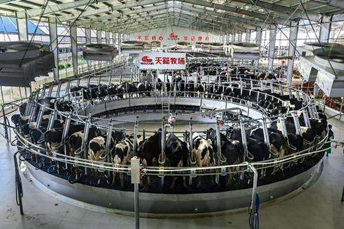 开云 开云体育平台数字中国_中国网(图10)