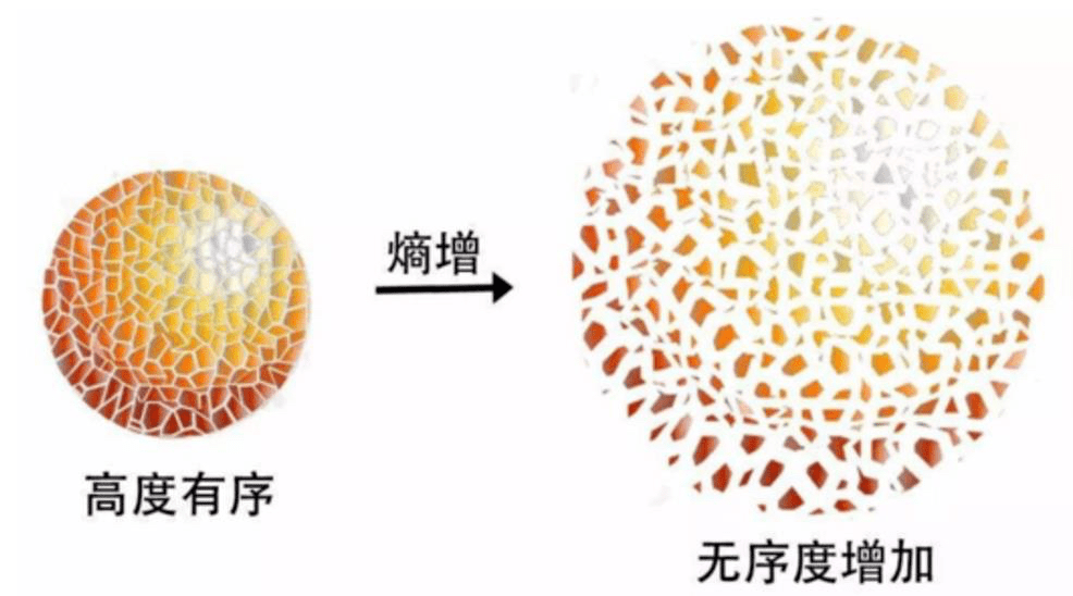站开云体育 开云平台在数字化潮头看企业转型的底层逻辑(图8)