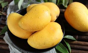 数字文化行业政策、市场规模、发展趋势分析2开云 开云体育平台024(图5)