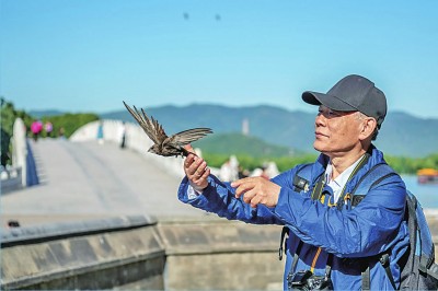 开云体育 开云官网守护候鸟迁飞通道——让空中“旅行家”一路顺风(图2)