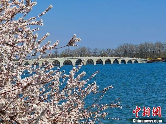 Kaiyun 开云文明的共鸣：中意世界文化遗产地“结好”记(图3)