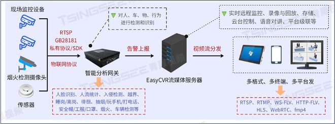 精准防控：AI智能分析网关V4区域未停留检测算法的介绍及应用开云 开云体育平台(图2)