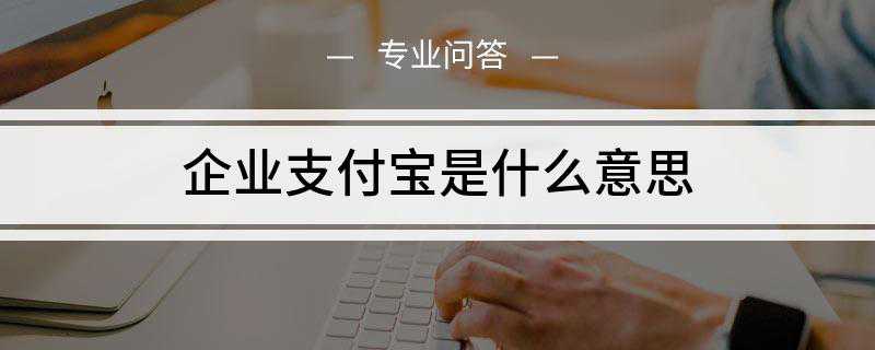 企业支付宝是什么意开云 开云体育官网思(图1)