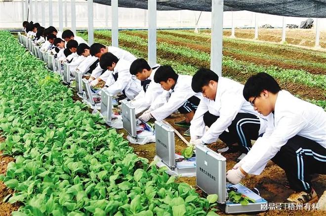 Kaiyun 开云体育最新数据！哪些专业就业率最高？收入最高的专业是(图4)