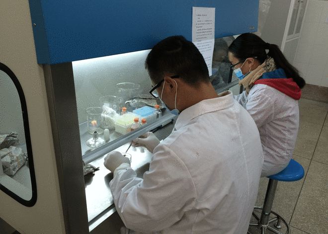 开云 开云体育官网专科生填报志愿：不建议报考7个专科专业就业率不高竞争力小(图3)
