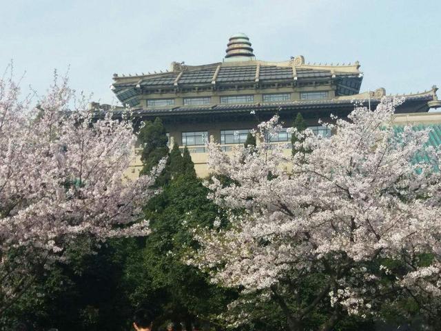 已Kaiyun 开云经“烂大街”6个大学专业就业困难工资低高校还在拼命招生(图1)