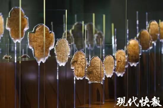 文脉华章｜为一个展奔开云体育 开云官网赴一座城暑期博物馆迎来“泼天流量”(图10)
