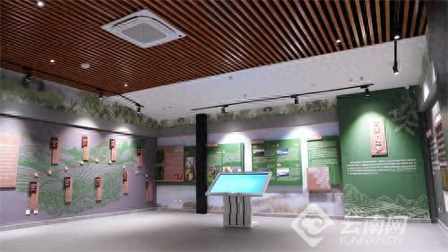Kaiyun 开云体育中国勐海普洱茶数字博物馆等你体验茶文化时空之旅(图1)