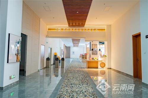 Kaiyun 开云体育中国勐海普洱茶数字博物馆等你体验茶文化时空之旅(图2)
